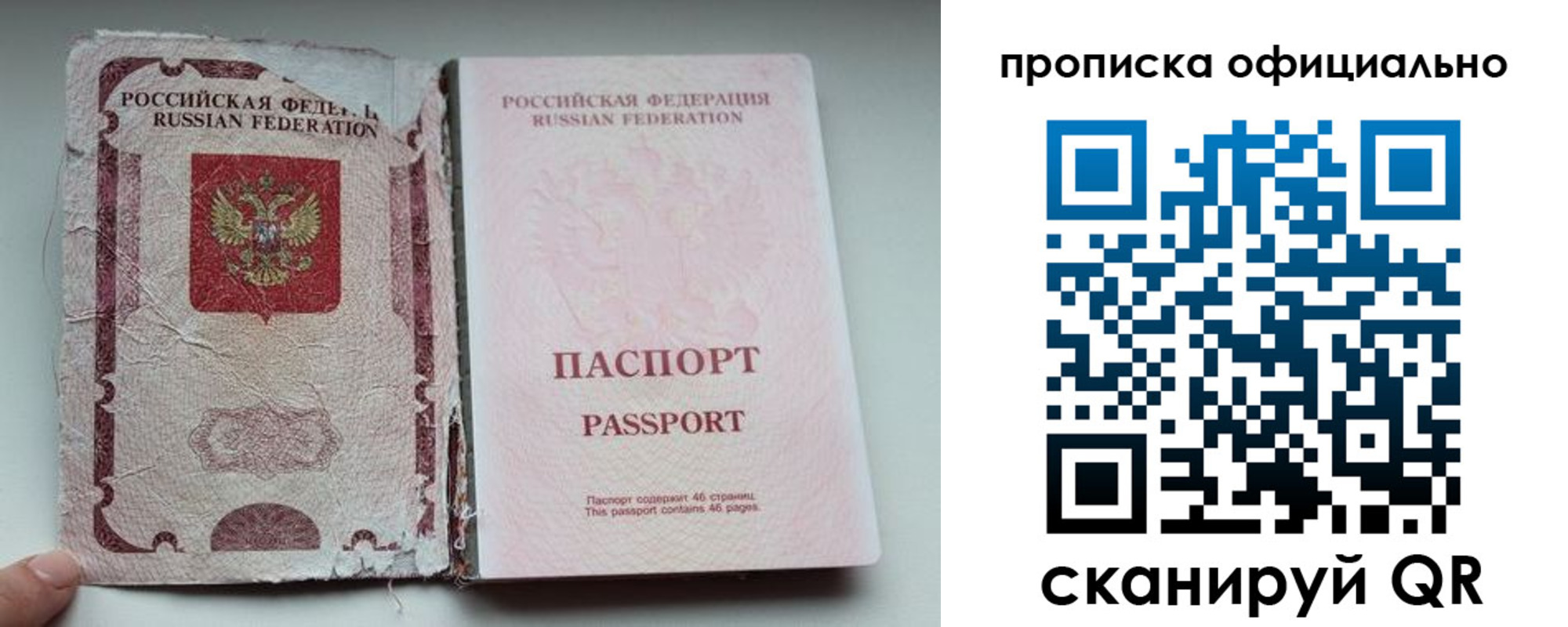 прописка 2025 в Димитровграде